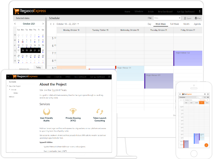 DevExpress Responsive Web Application Project Template